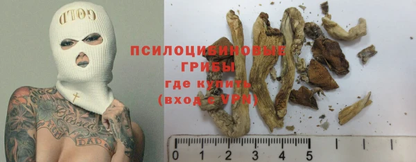 прущая мука Алзамай