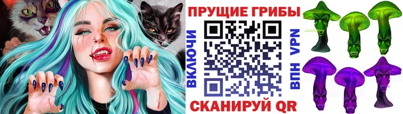 kraken зеркало  Нолинск  Галлюциногенные грибы мухоморы 
