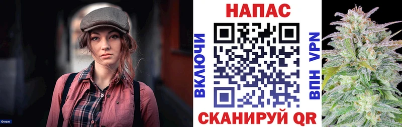 МЕГА рабочий сайт  Нолинск  МАРИХУАНА сатива 
